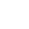 Incognito Princess