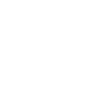 Incognito Prince