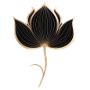 Lotus Elegant Flower