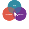 Pilot
