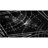 Space Traffic