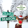 Oh Deer - Rudolf Noël Design