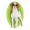 Brittany Epagneul Breton Dog Gift