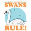 Swans Swans Swan Lover Gift