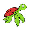Turtle Cute