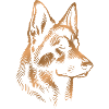 German Shepherd Head Gold