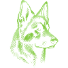 German Shepherd Head Green
