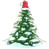 Christmas Tree with Christmas Hat
