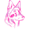 German Shepherd head pink