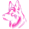 German Shepherd head pink