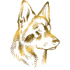 German Shepherd head gold