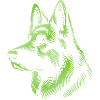 German Shepherd Head Green