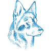 German Shepherd Head Blue