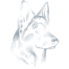 Deutscher Schäferhund Kopf silber