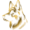 German Shepherd head gold