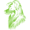 Herding dog green