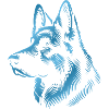 German Shepherd Head Blue