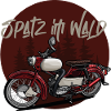 Spatz (rot) // Illustration