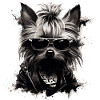 Cool Yorkshire Terrier