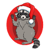 Raccoon with Santa hat