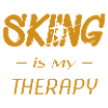 skiing is my therapy