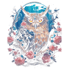 Owl Fantasy Japanese Mythology Magical