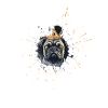 Mops Fan 2.0