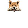 Dog Akita