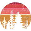 Solar Pine Silhouette