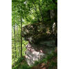 Waldfelsen im Morgenlicht / Nordschwarzwald