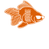 Goldfish Sunglasses Gold Fish