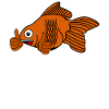 Goldfish Happy Gold Fish