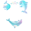 Dolphin I Like Dolphins