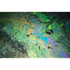 Mer polluée