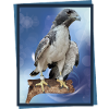 Falcon
