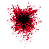 Albanian Flag Albanian Eagle Shqiponja