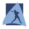 Baseball Softball Bat Softball