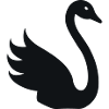 Cygne