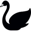 Swan