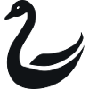 Swan