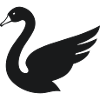 Cygne