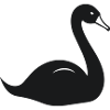 Schwan