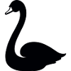 Schwan