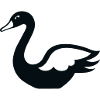 Schwan