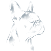 French Bulldog Drawing Head Silver