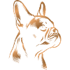 French bulldog drawing head bronze