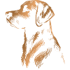Labrador Drawing Head bronze/copper