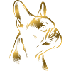 French bulldog drawing head golden