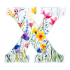Buchstabe X, Monogramm, Blumenmuster