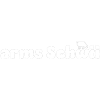 arms Schwiii